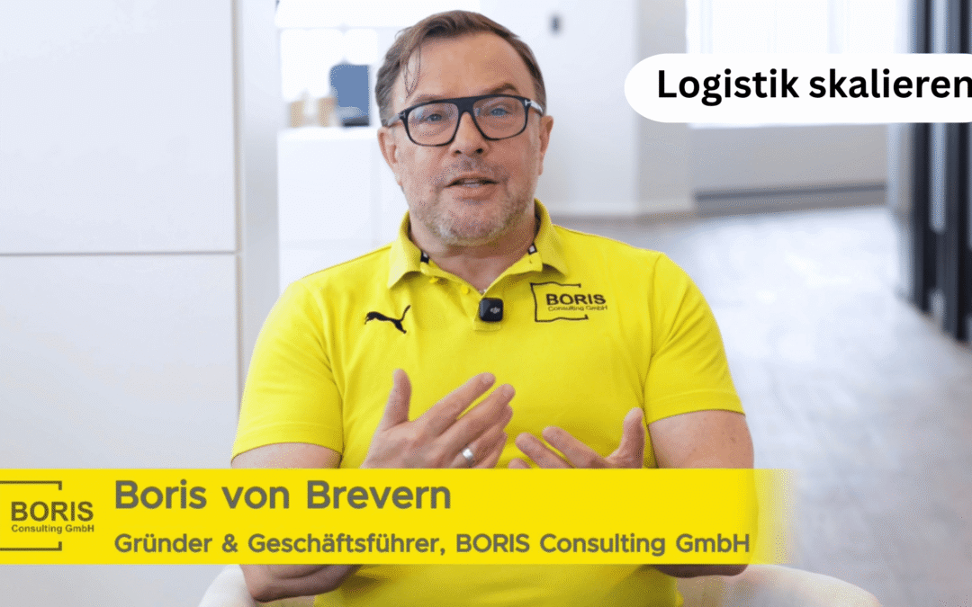 Logistikprobleme lösen und Prozesse skalieren: Wie BORIS Consulting Unternehmen operativ unterstützt